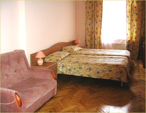 Staronevsky Dom Oldnevsky hourse room